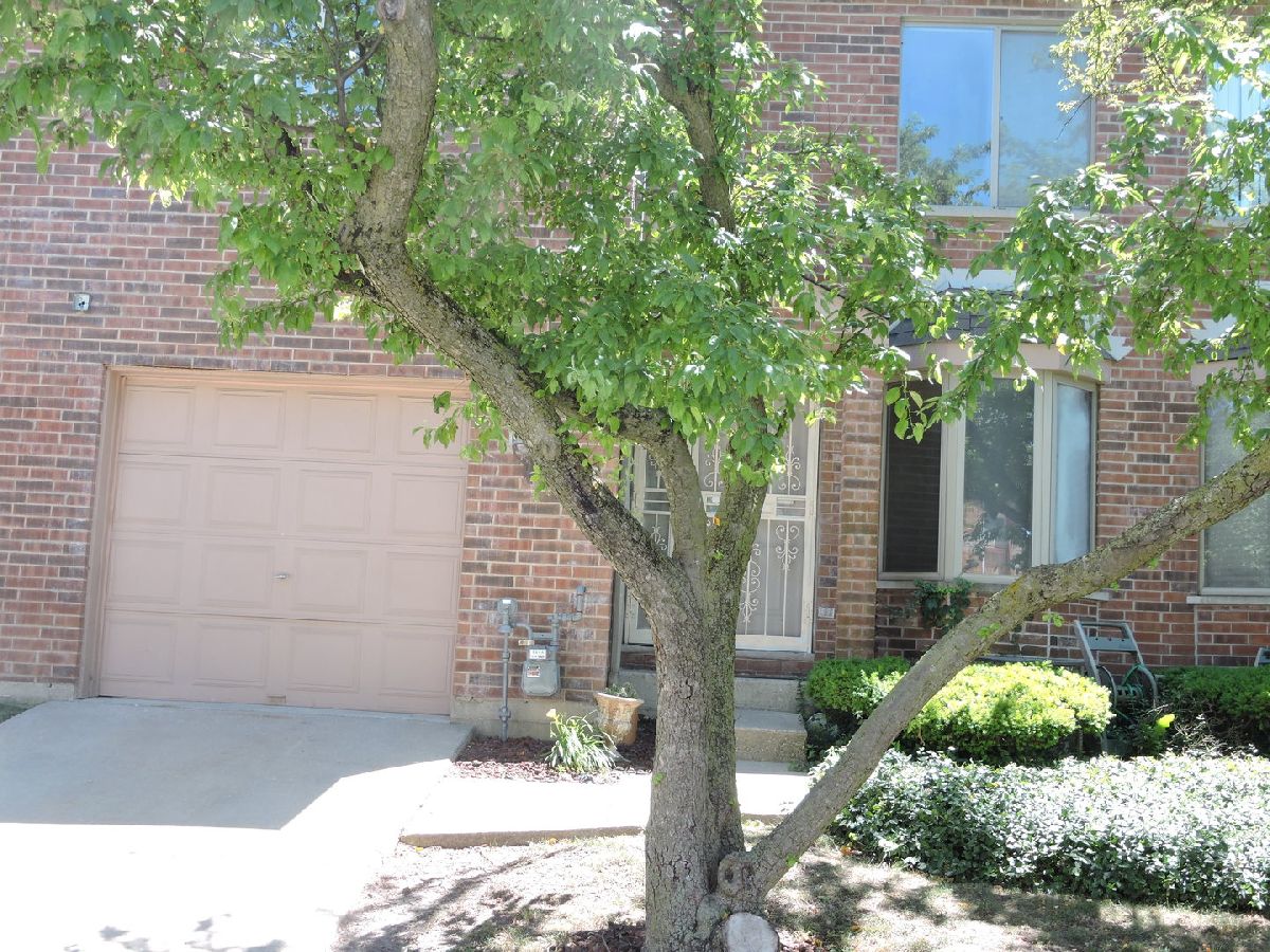 Homes & Townhomes Sold Heritage Place Chicago Illinois, 1133 83rd
