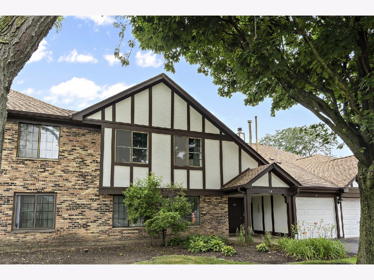 Condos & Townhomes Sold Trails Village Roselle Illinois, 991 Yosemite