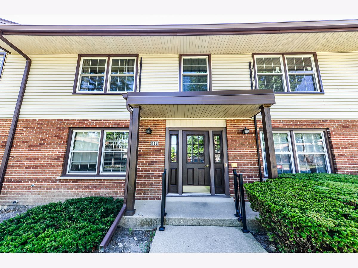 Condominiums Rented Washington Square Elk Grove Village Illinois, 226 Washington