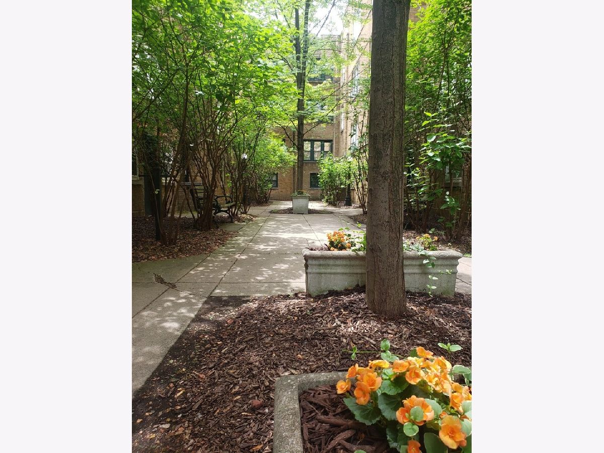 Condominiums & Homes Rented Lincoln Park 2520 Chicago Illinois, 679.5 Wrightwood