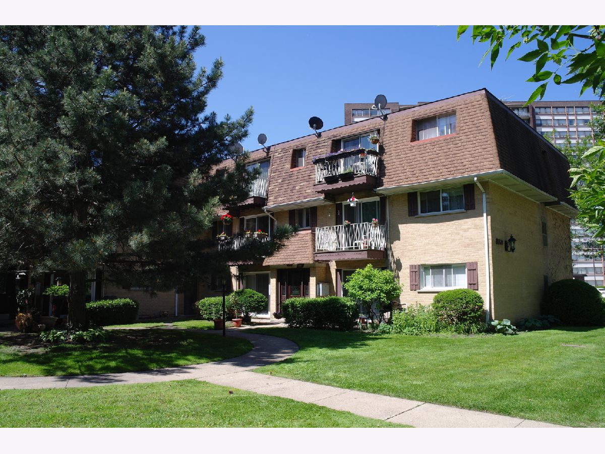 Condos & Townhomes Sold Birchtree Manor Chicago Illinois, 8559 Rascher