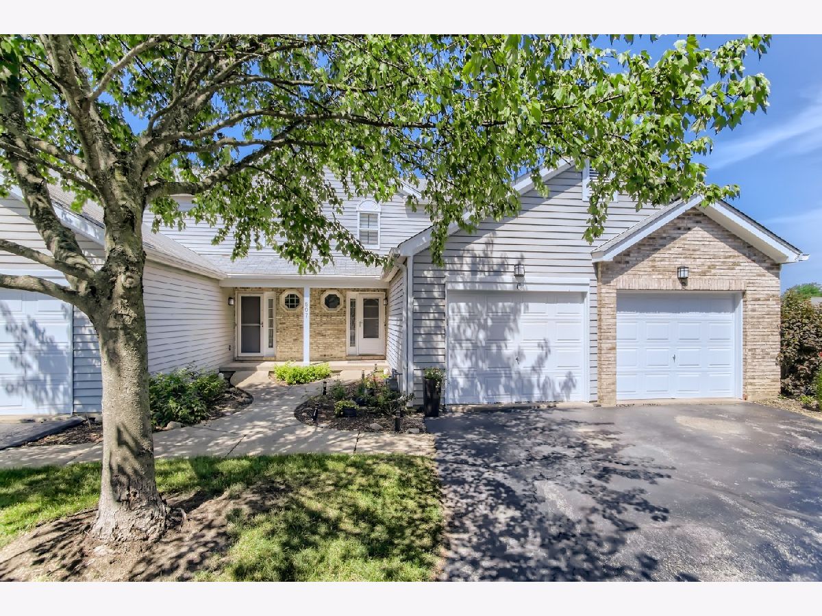 Townhomes Sold Cinnabar Pointe Bartlett Illinois, 507 Nicole
