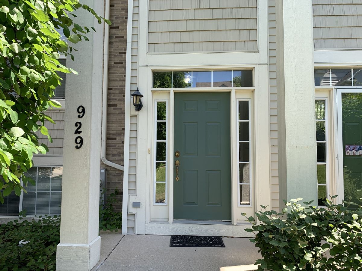 Townhomes Rented Summit Creek Shorewood Illinois, 929 Summit Creek
