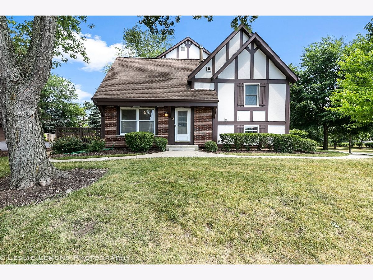Townhomes & Condos Sold Highpoint Lisle Illinois, 2708 Weeping Willow