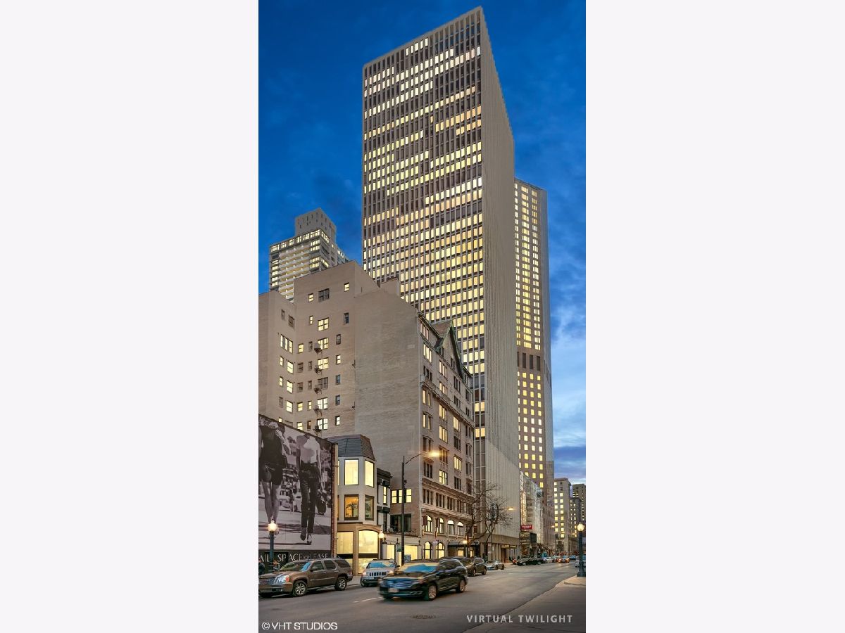 Condominiums Rented Walton Colonade Chicago Illinois, 100 Walton