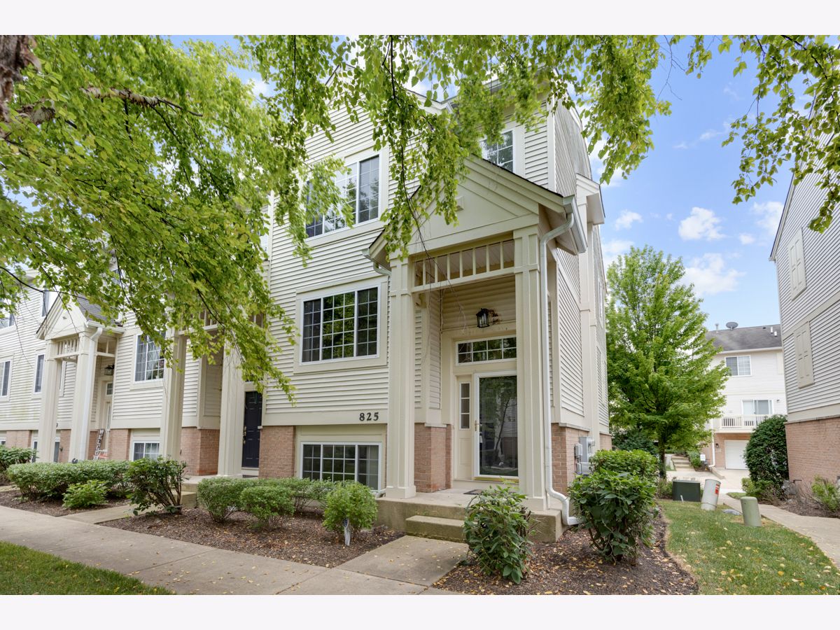 Townhomes Rented Pheasant Run Trails St Charles Illinois, 825 Pheasant