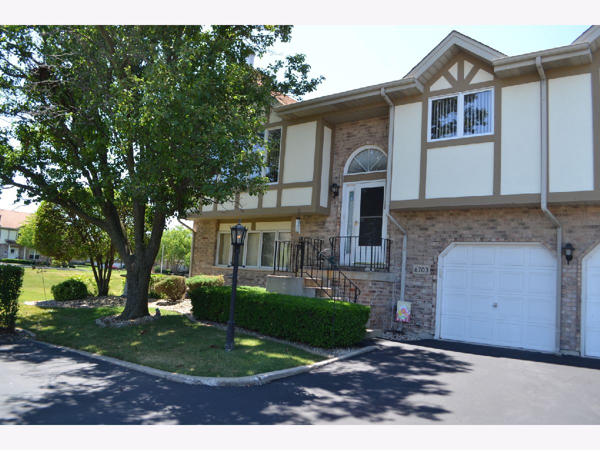 Townhomes & Condos Sold Eagles Nest Tinley Park Illinois, 6703 181st