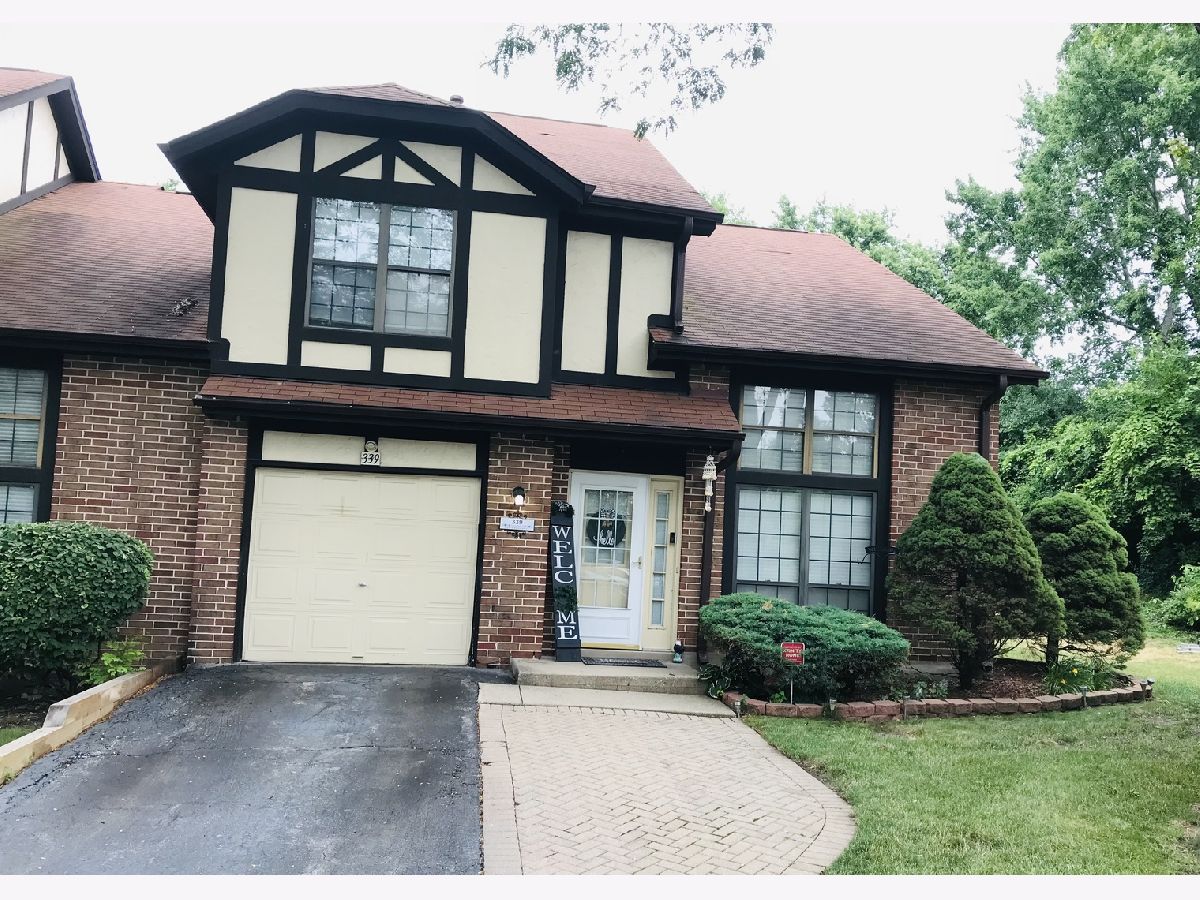 Medinah Lakes Bloomingdale IL, Townhomes & Condos For Sale & For Rent