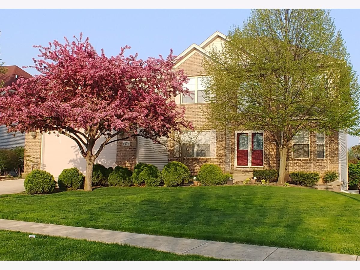Homes & Townhomes Sold Farmington Lakes Oswego Illinois, 605 Avon