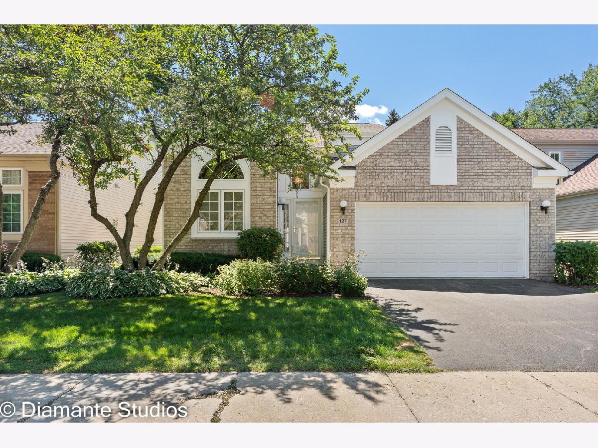 Condominiums & Homes Sold Manchester Green Buffalo Grove Illinois, 127 Manchester