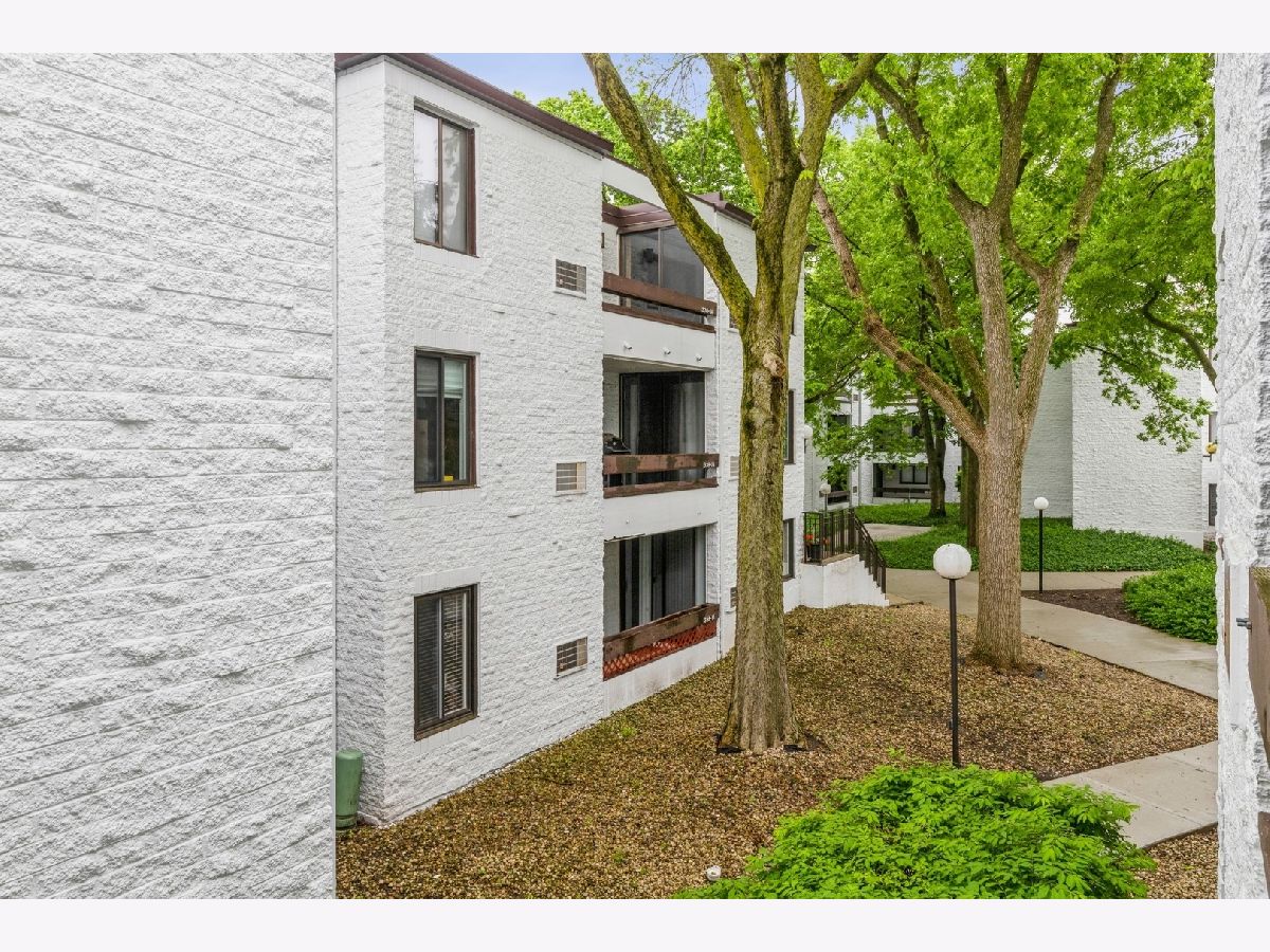 Condominiums Rented Courtyard Arlington Heights Illinois, 342 Miner