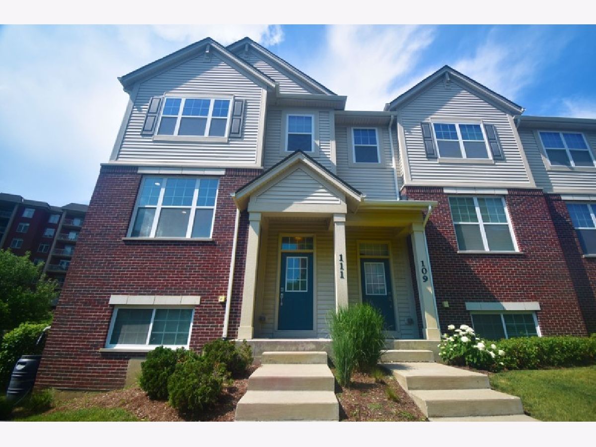 Townhomes Rented Lexington Station Morton Grove Illinois, 111 Concord