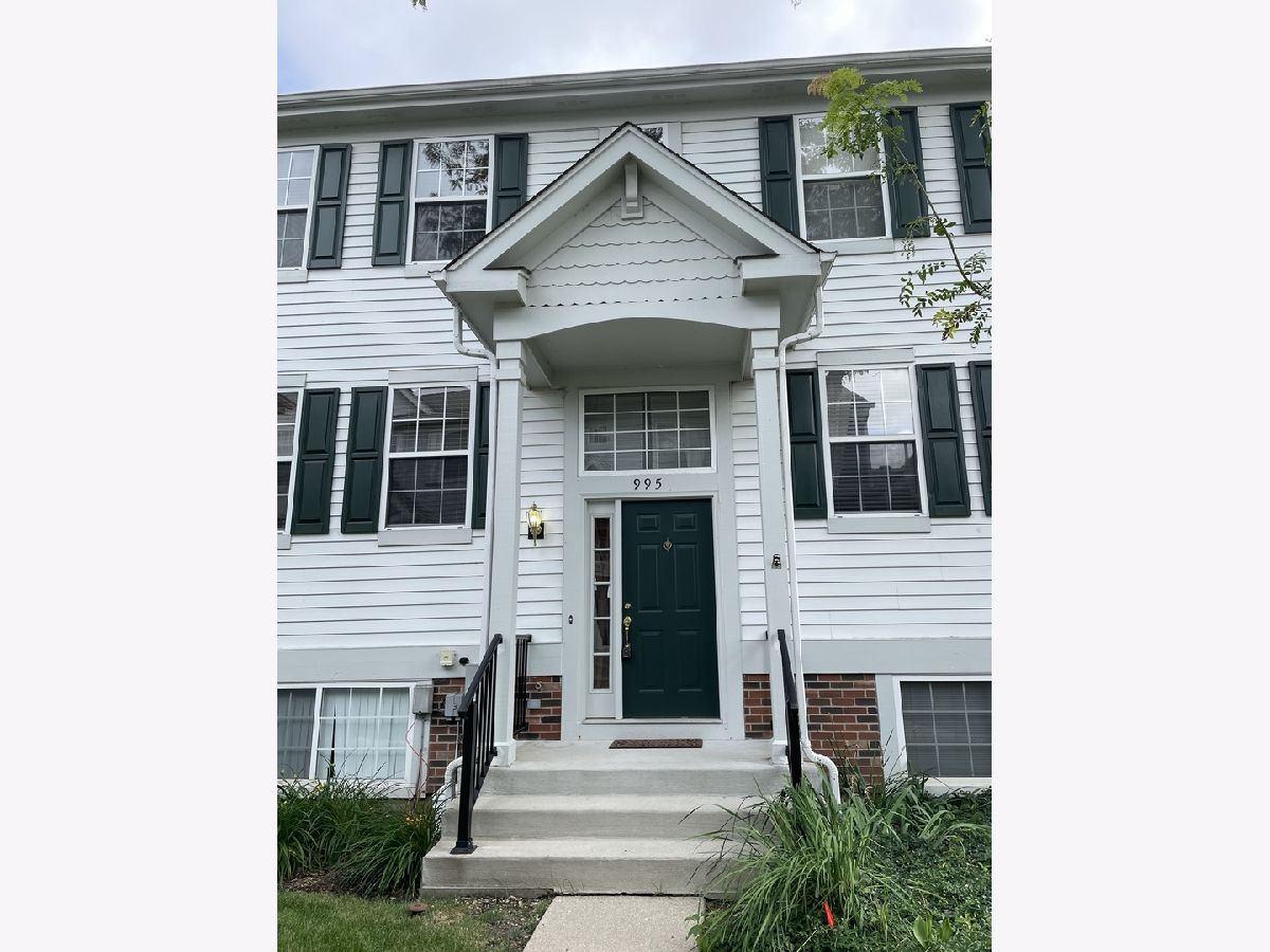 Townhomes & Homes Rented College Trail Grayslake Illinois, 995 Manchester
