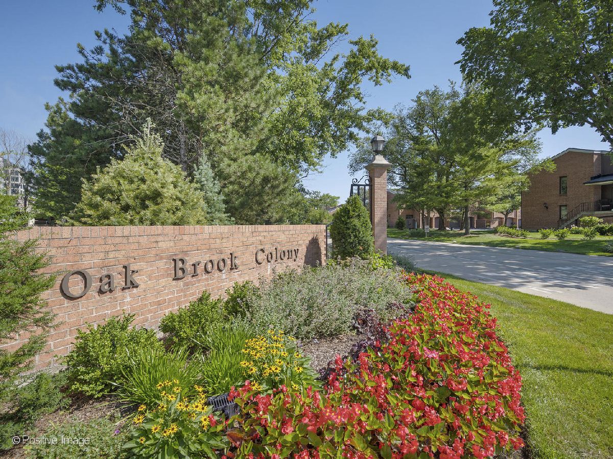 Oak Brook Colony Oak Brook IL, Townhomes For Sale & For Rent Sadie