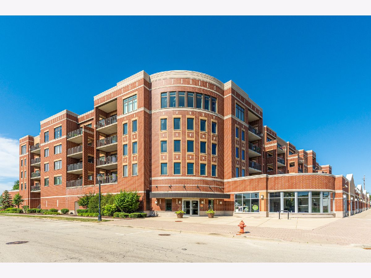Condominiums Sold Park Street Crossing Roselle Illinois, 225 Main