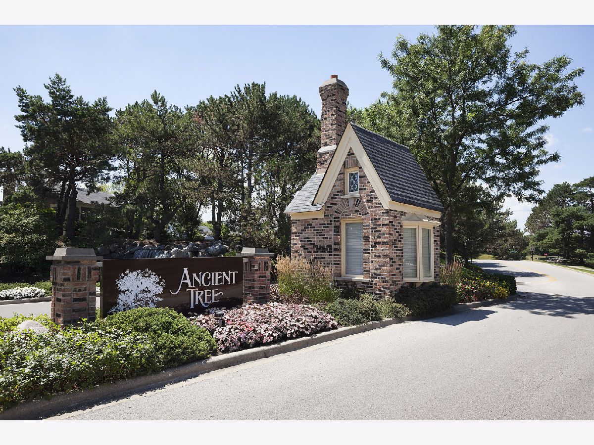 Ancient Tree Northbrook IL, Townhomes & Condos & Homes For Sale & For