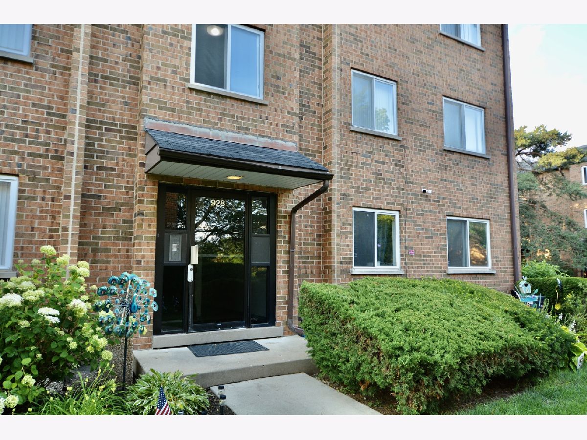 Condominiums Rented Hidden Ponds Schaumburg Illinois, 928 Casey