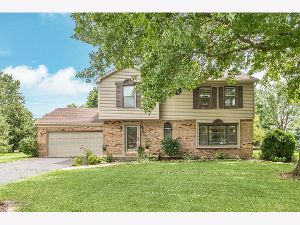 Homes & Condos & Townhomes Sold Countryside Yorkville Illinois, 217 Dickson