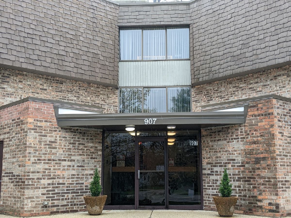 Condominiums Sold Cass Lake Village Westmont Illinois, 907 Williams