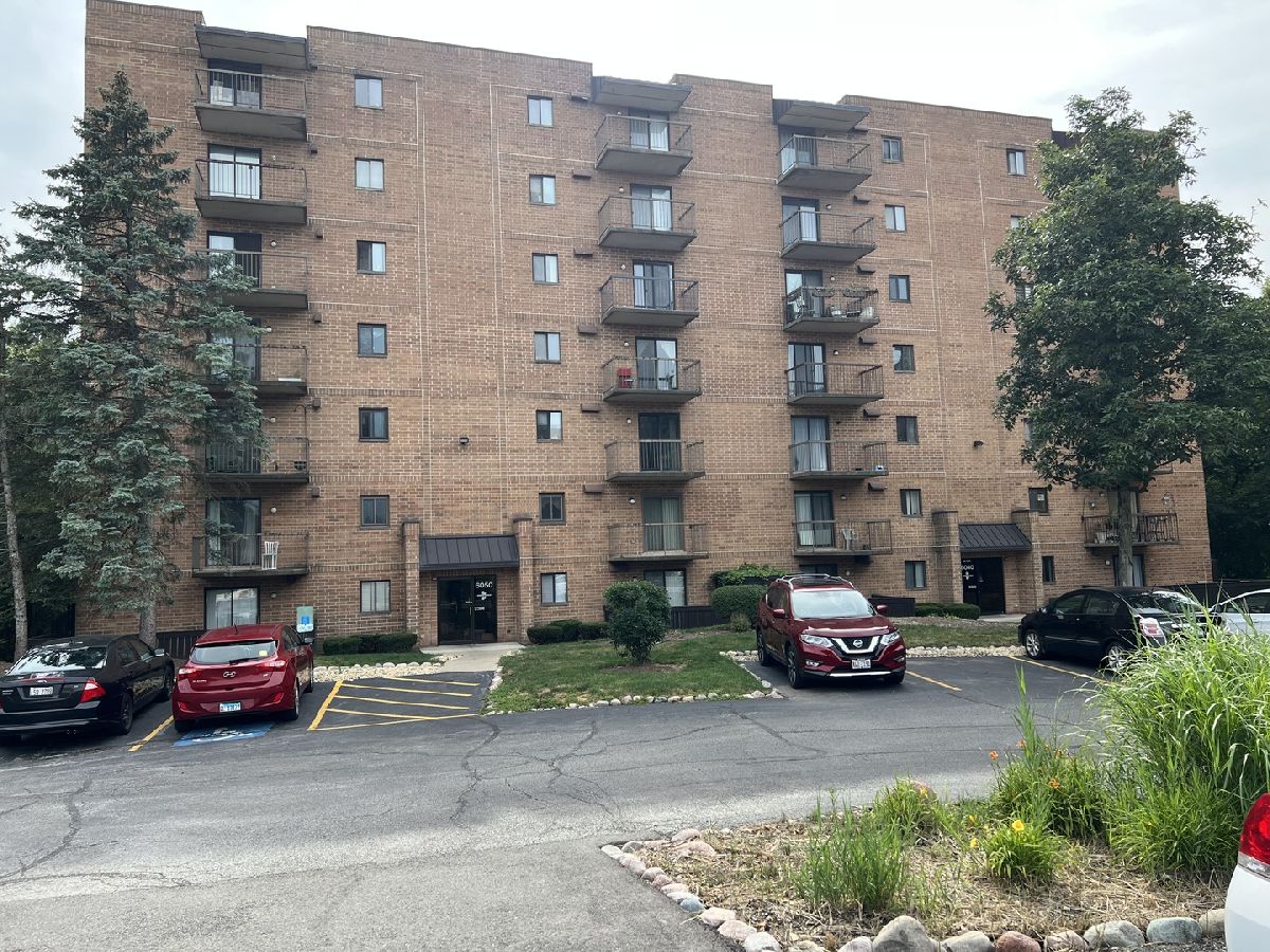 Condos & Townhomes & Homes Sold Edgewater Walk Tinley Park Illinois, 6050 Lake Bluff