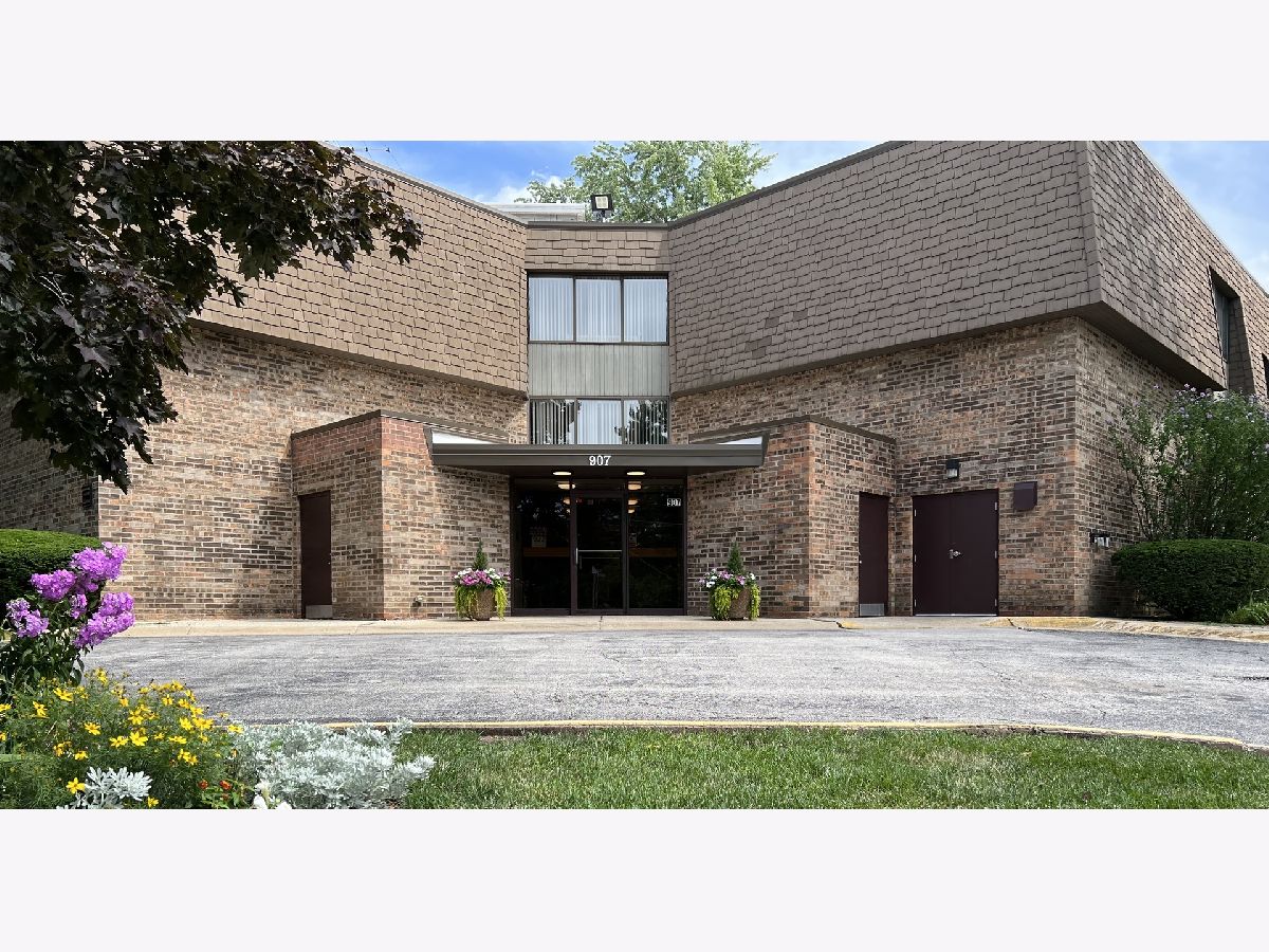 Condominiums Sold Cass Lake Village Westmont Illinois, 907 Williams