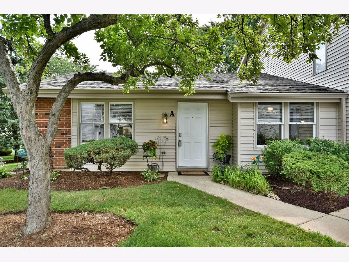 Townhomes & Condos Sold Country Fours Bloomingdale Illinois, 327 Georgetown