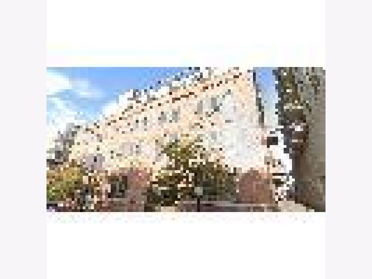 Townhomes & Condos Rented Daily News Townhomes Chicago Illinois, 222 Racine