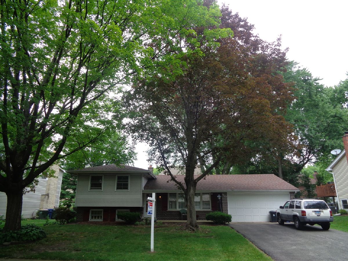 Homes Sold Kings Terrace Naperville Illinois, 1137 George