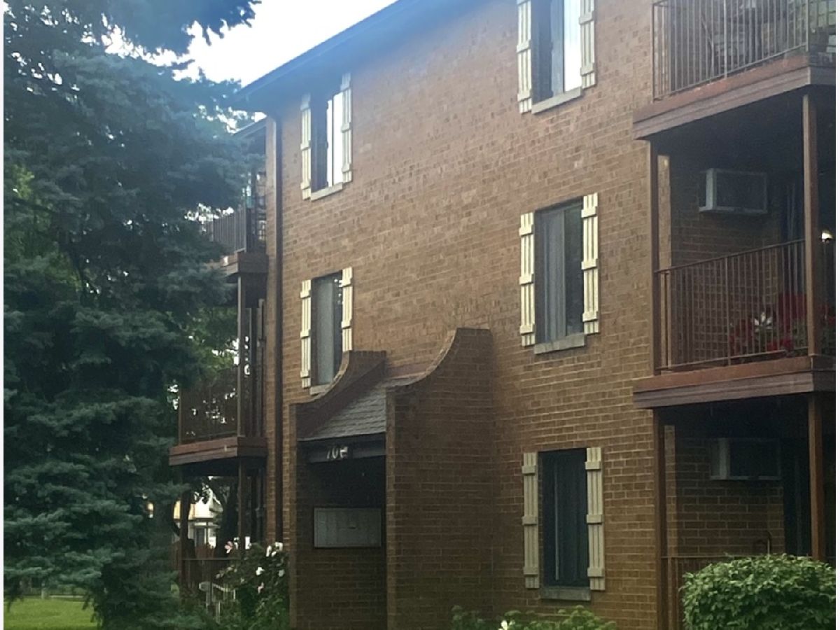 Condominiums Sold Briar Hill Addison Illinois, 700 Briar Hill