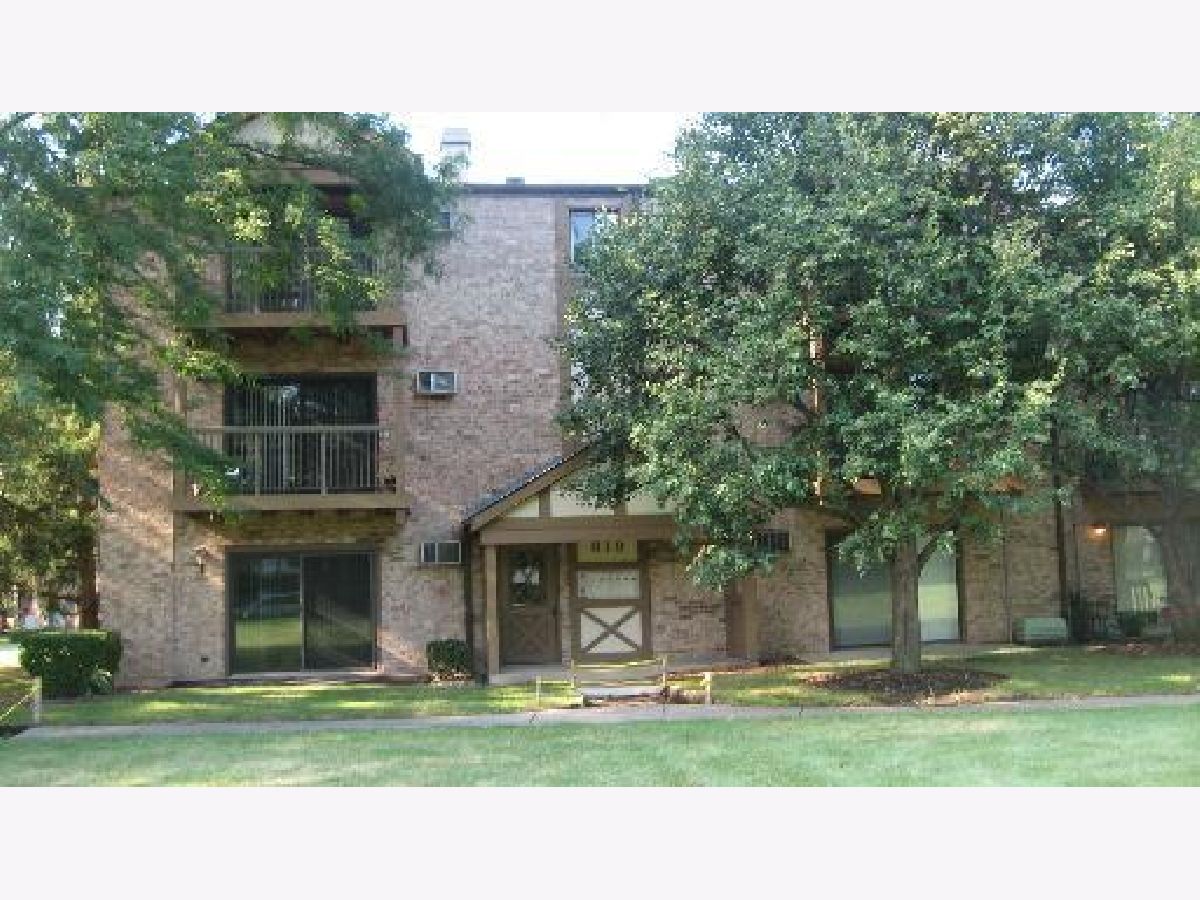 Condominiums Rented Church Creek Arlington Heights Illinois, 819 Dwyer