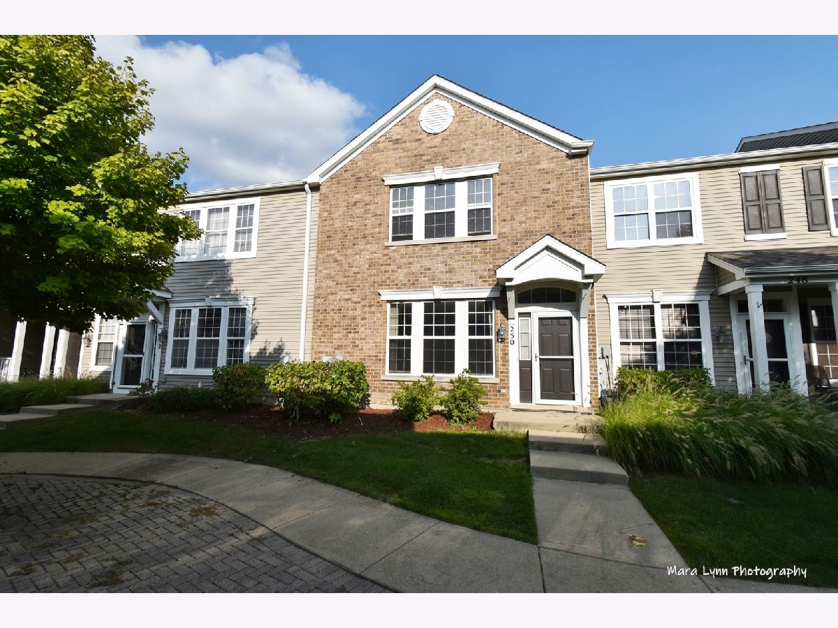 Homes & Townhomes Rented Farmington Lakes Oswego Illinois, 250 Springbrook
