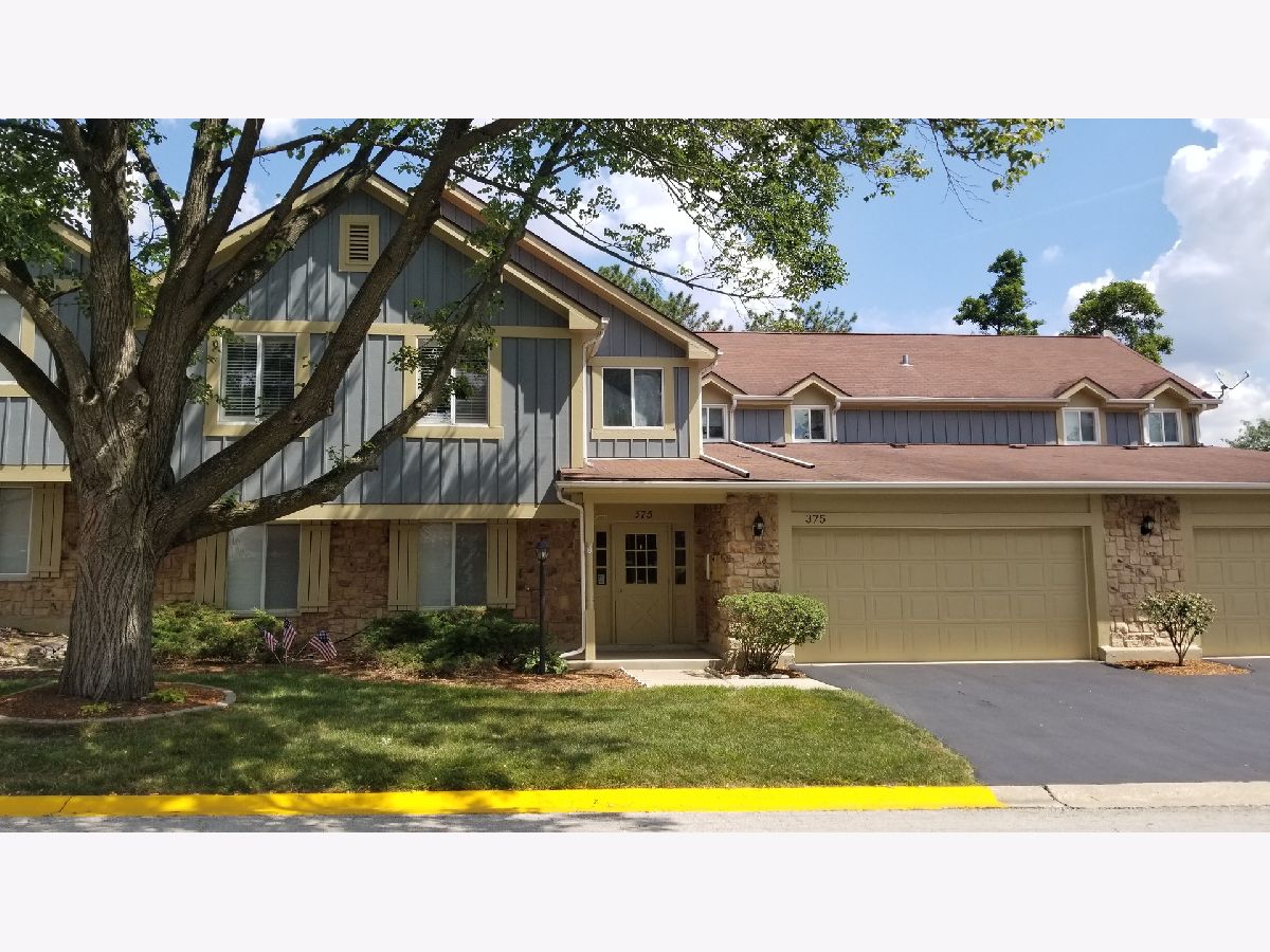 Condos & Townhomes & Homes Rented Springlake Aurora Illinois, 375 Springlake