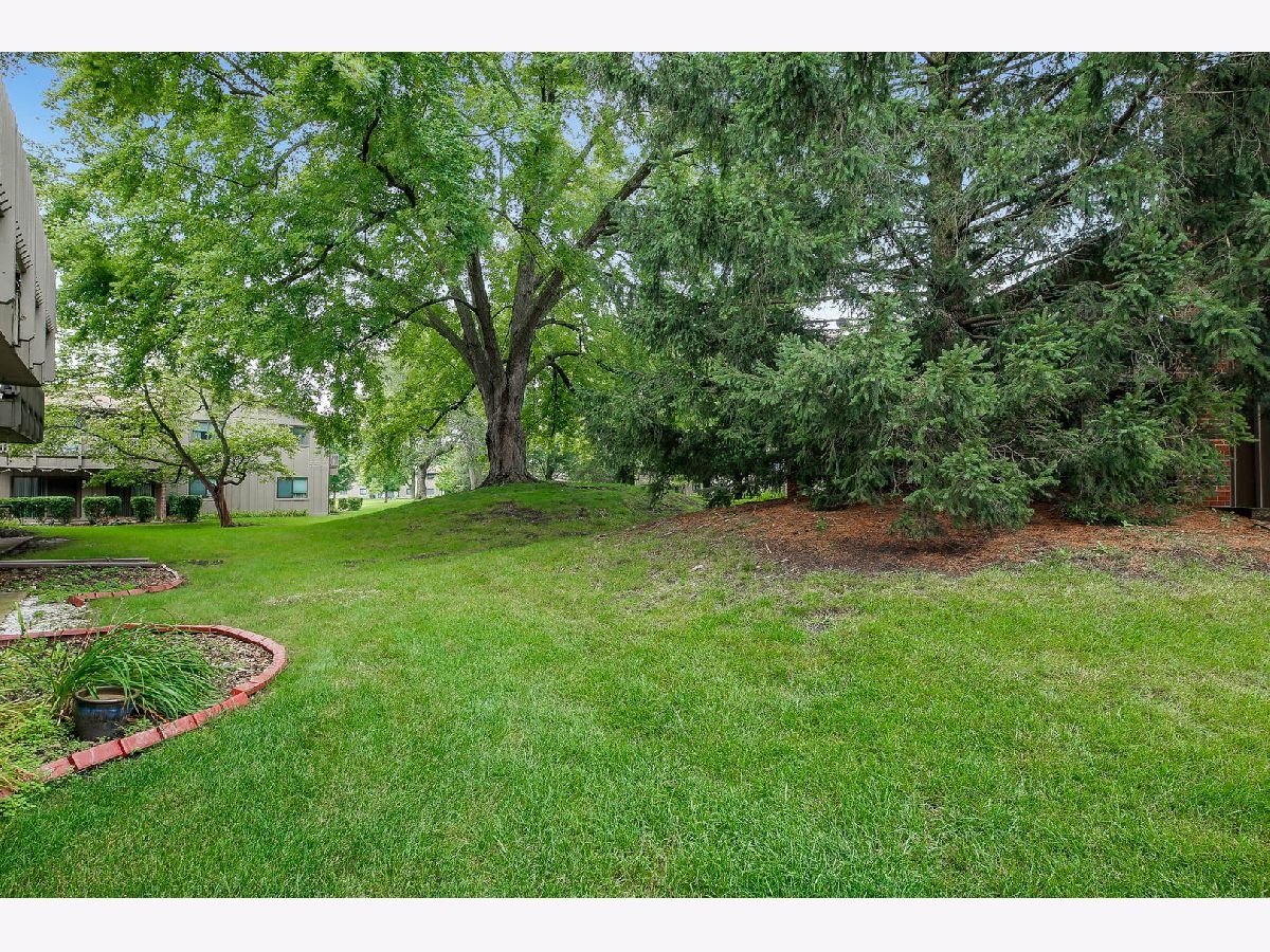 2S416 Emerald Green Drive, Warrenville, Illinois 60555 MLS 11615185