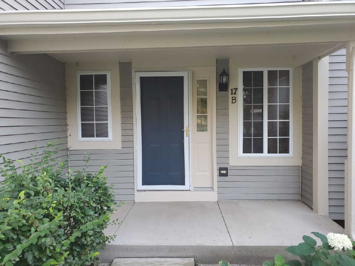 Townhomes & Condos Rented Concord Woods South Elgin Illinois, 17 Windsor