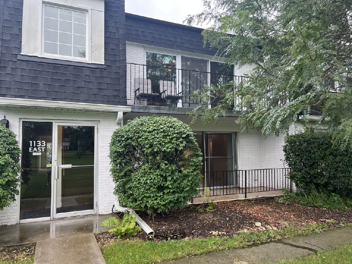 Homes & Condos & Townhomes Rented Cress Creek Naperville Illinois, 1133 Royal Saint George