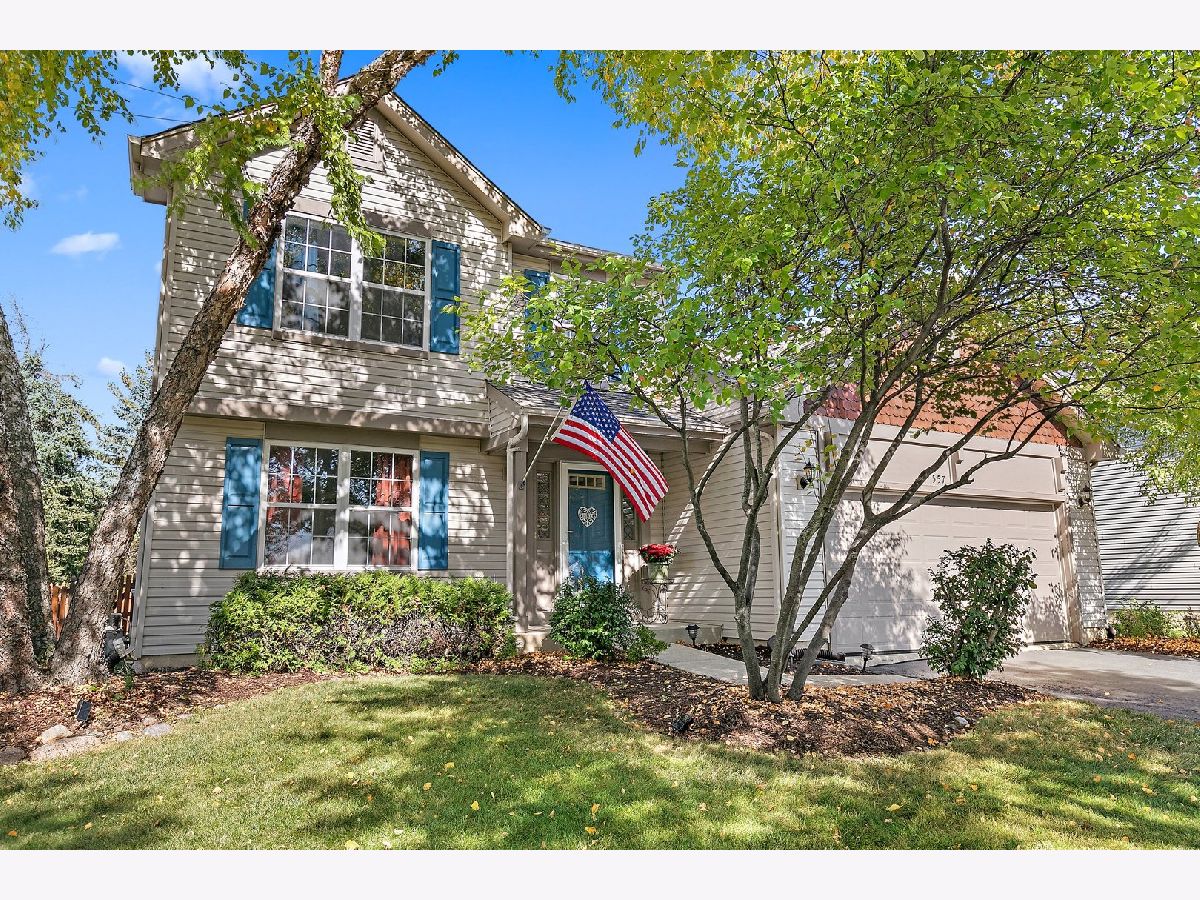 Homes Sold Natures Edge Aurora Illinois, 557 Ryegrass