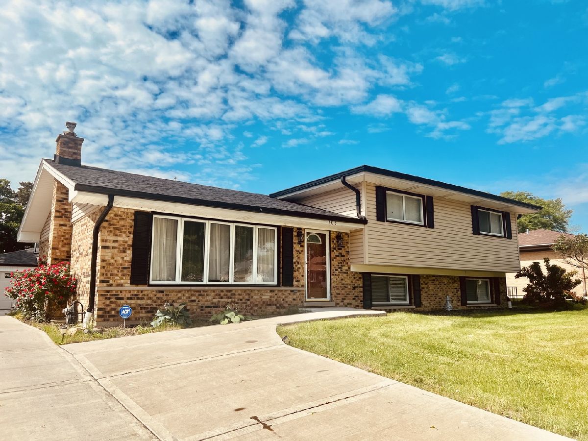 Homes & Condos & Townhomes Rented Lancer Park Schaumburg Illinois, 705 Merlin