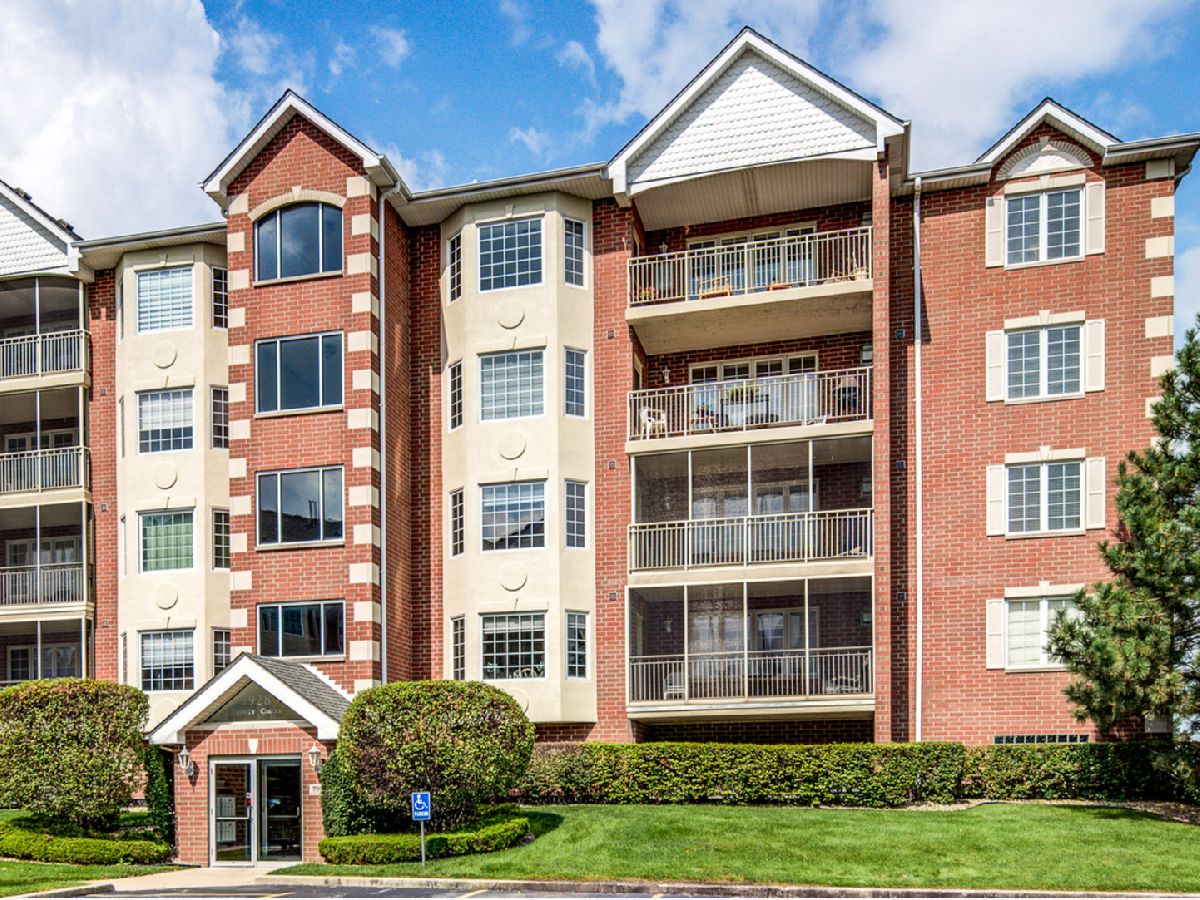 Condominiums Sold Brookside Place Tinley Park Illinois, 7928 Trinity