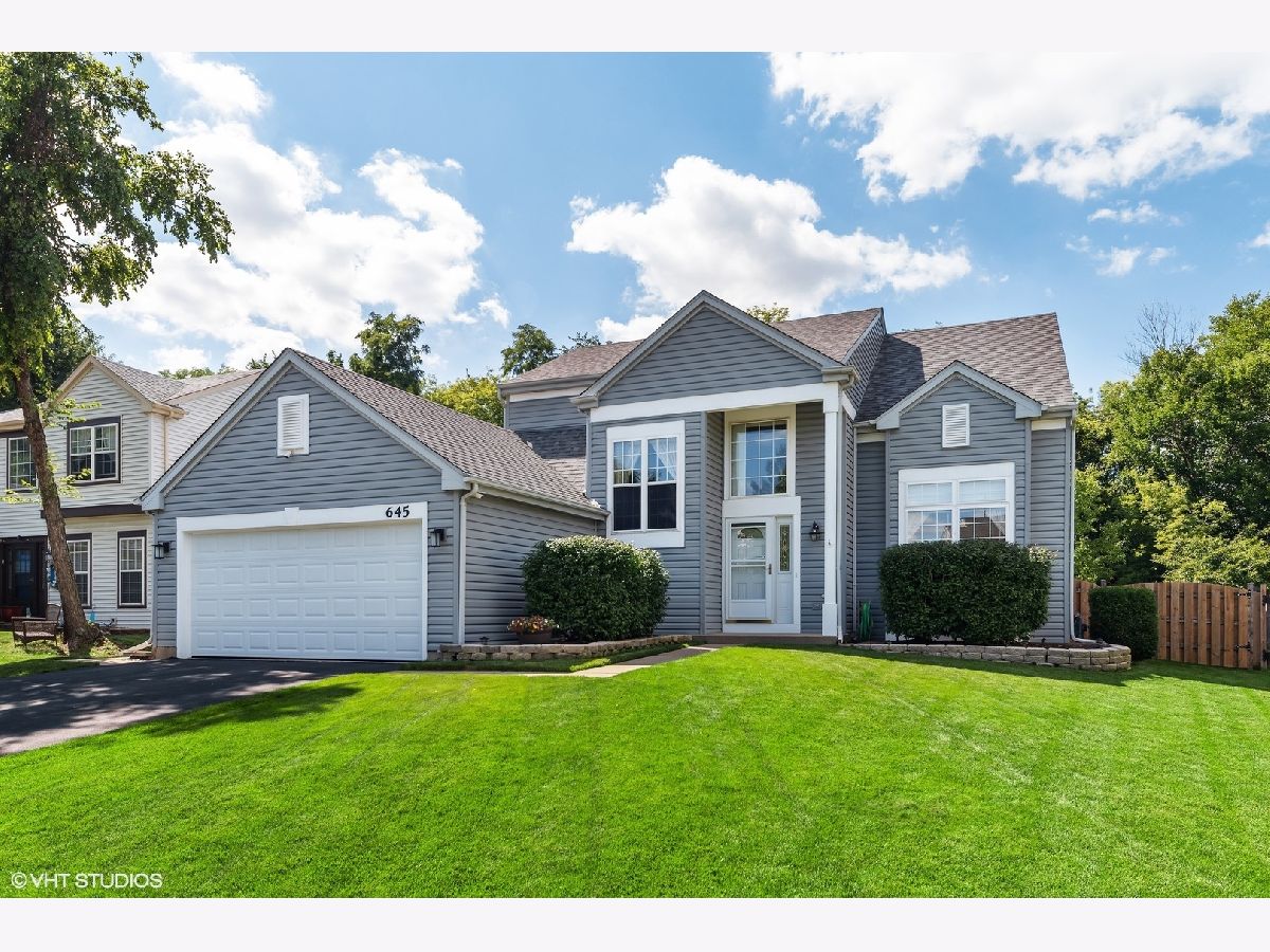 Homes Sold Stoney Brooke Lake In The Hills Illinois, 645 Anderson