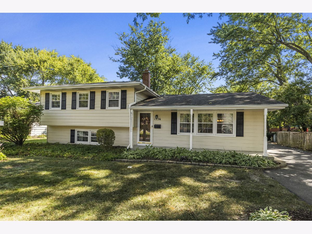Homes Sold Olympic Terrace Naperville Illinois, 1236 Atlas
