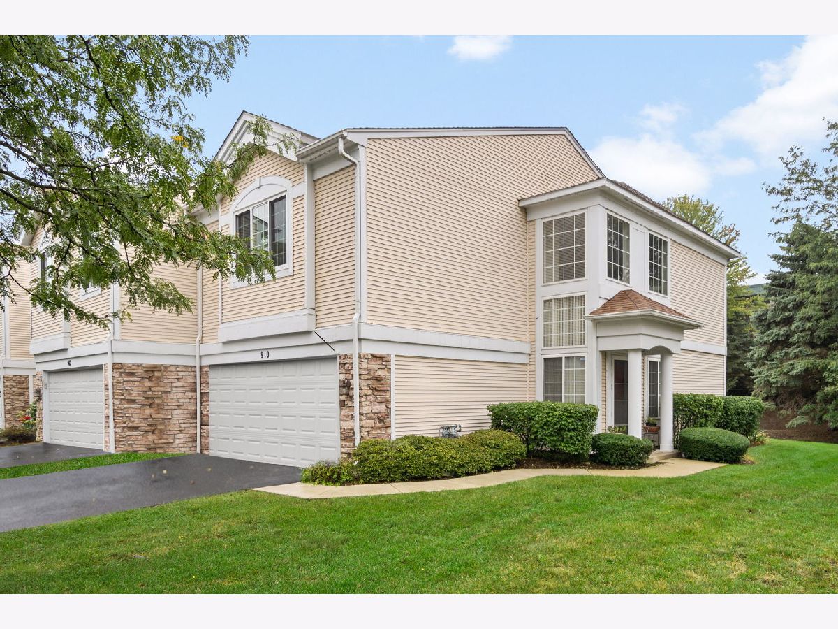 Townhomes & Condos Sold Sierra Ridge Elgin Illinois, 910 Mesa