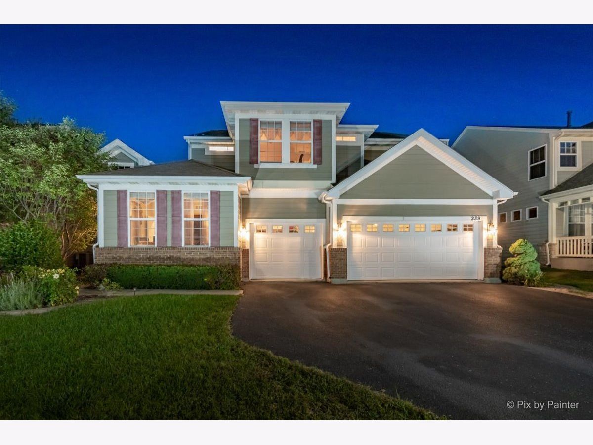 Homes Sold Remington At Providence Elgin Illinois, 239 Pawtucket