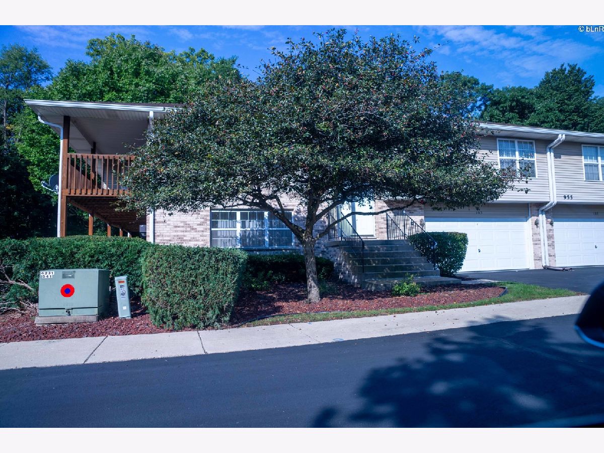Condos & Townhomes Rented Woodland Park Estates Naperville Illinois, 955 Elderberry