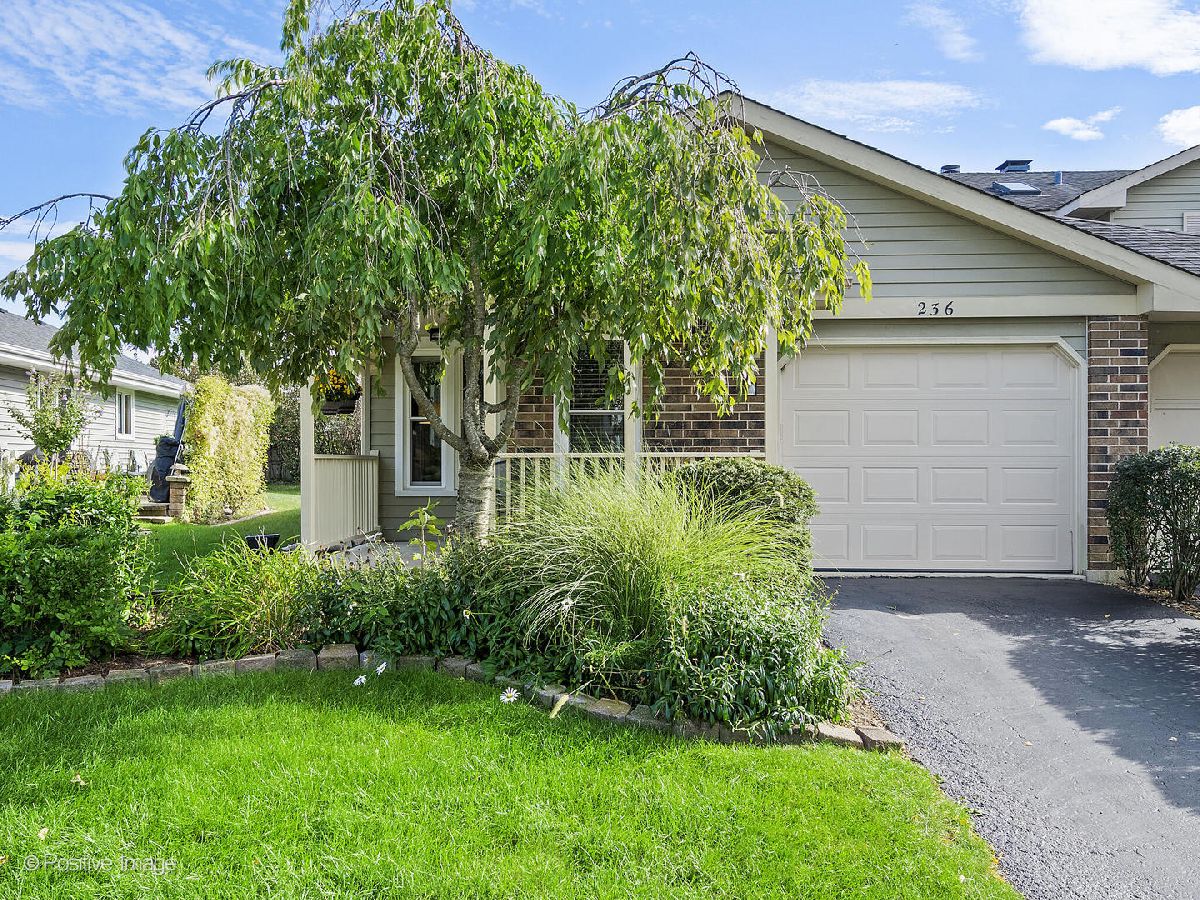 Townhomes Sold Waterfront Estates Naperville Illinois, 236 Pier