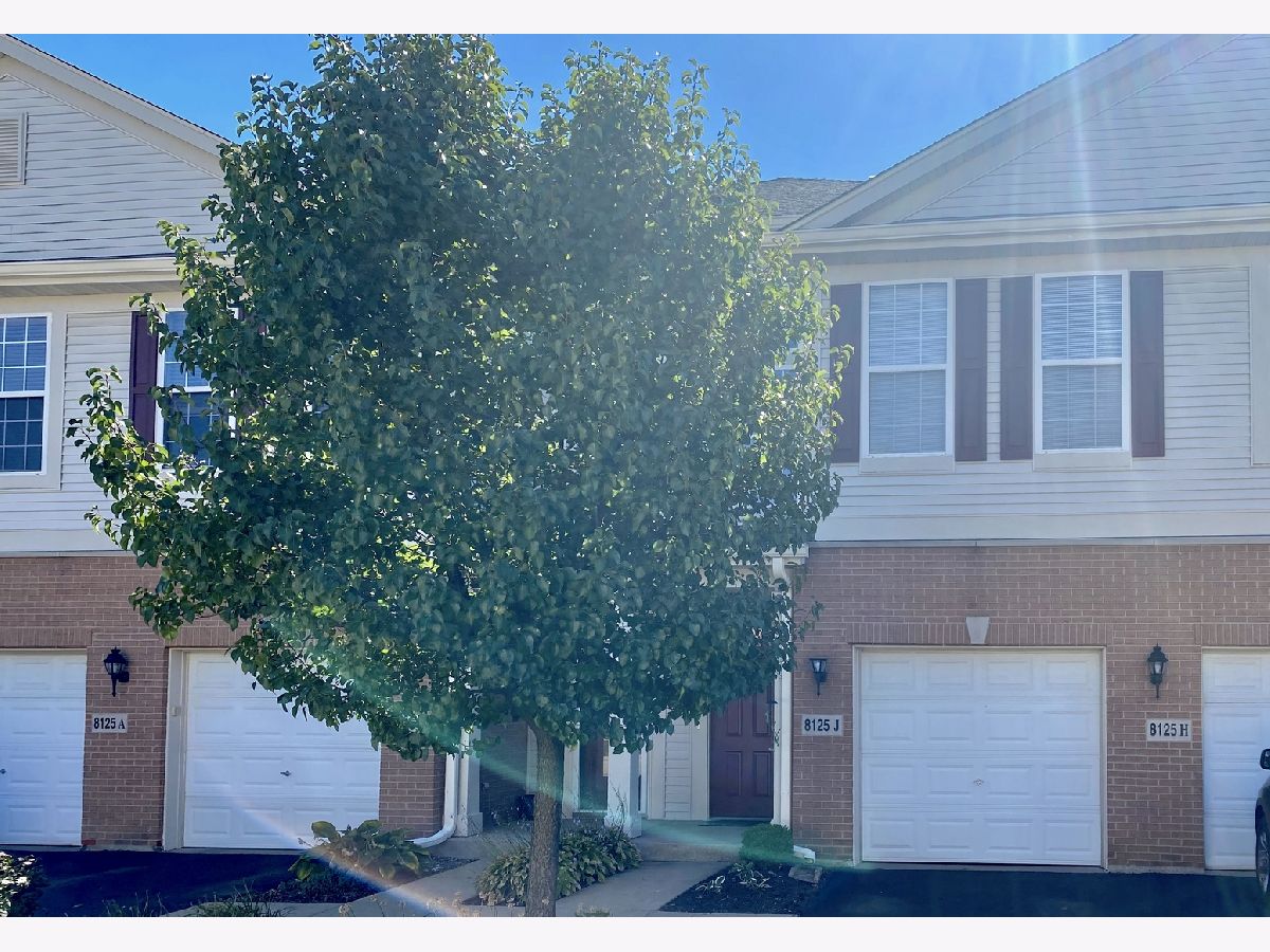 Condos & Townhomes Sold Asbury Woods Justice Illinois, 8125 Concord
