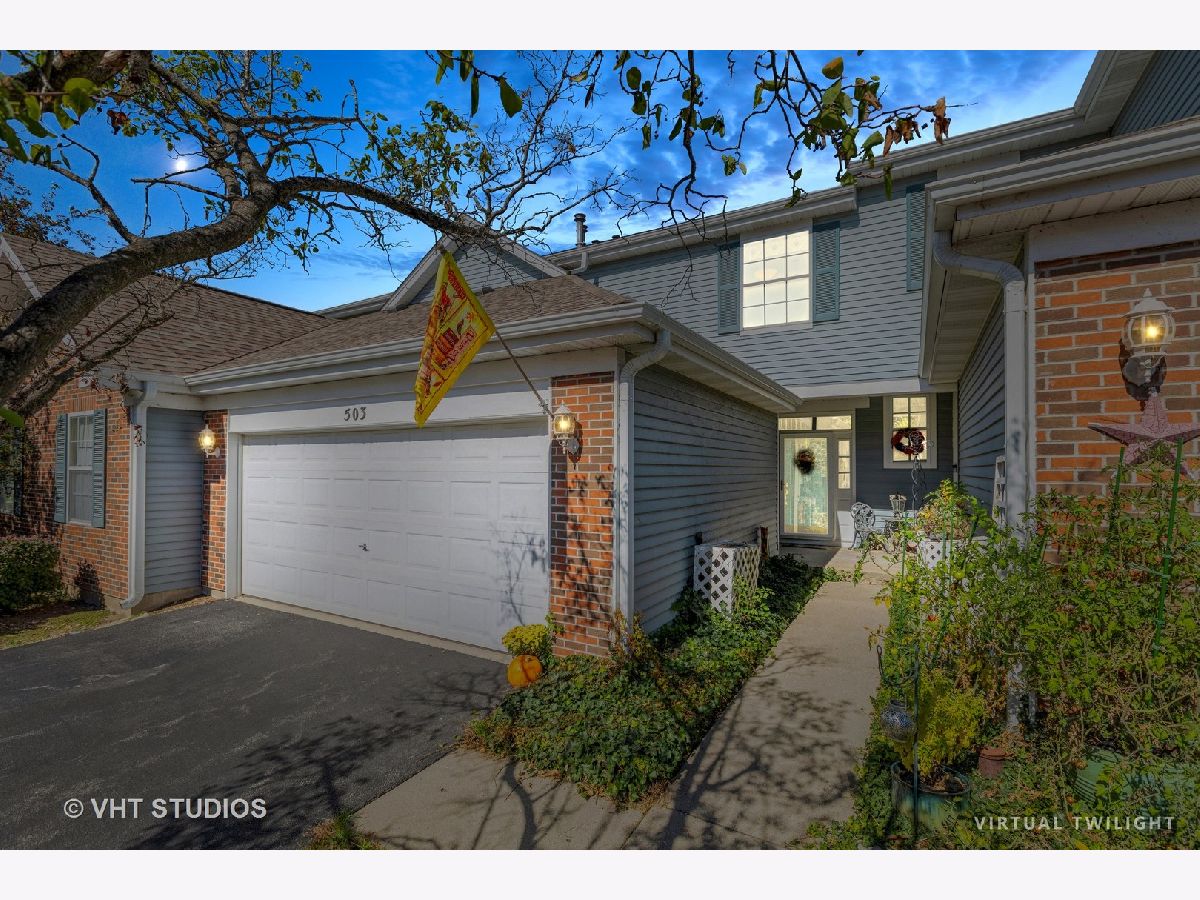 Townhomes & Homes Sold Reserve Of East Dundee East Dundee Illinois, 503 King