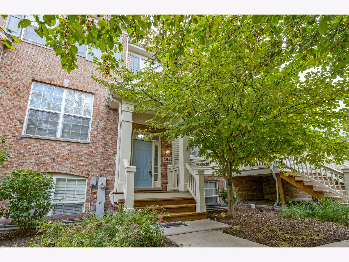 Townhomes Sold Asbury Place Bartlett Illinois, 258 Broadmoor
