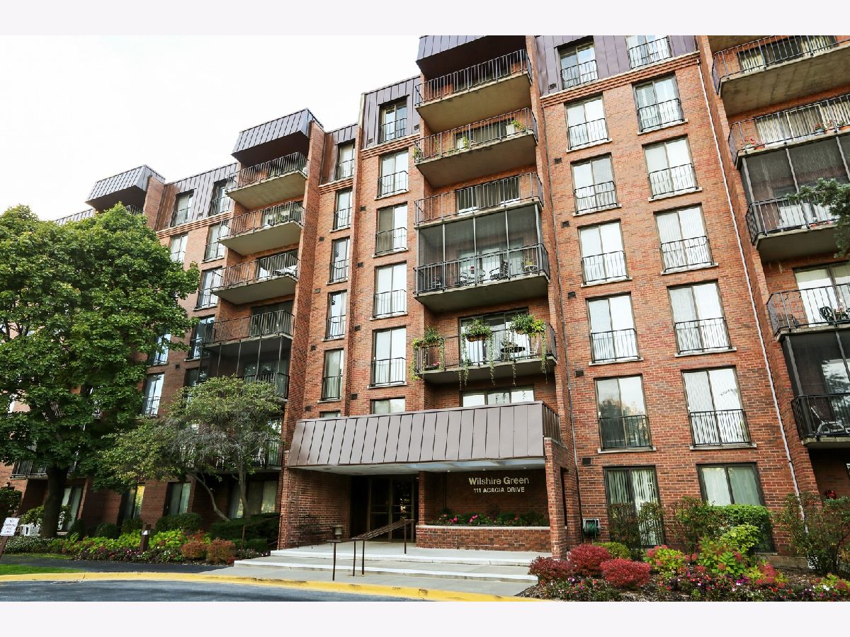 Condominiums Rented Wilshire Green Indian Head Park Illinois, 111 Acacia
