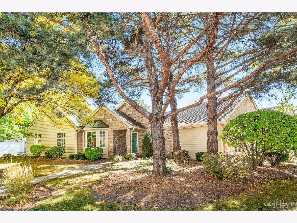 Homes & Condos & Townhomes Sold Windstone Manor Sugar Grove Illinois, 700 Manor Hill