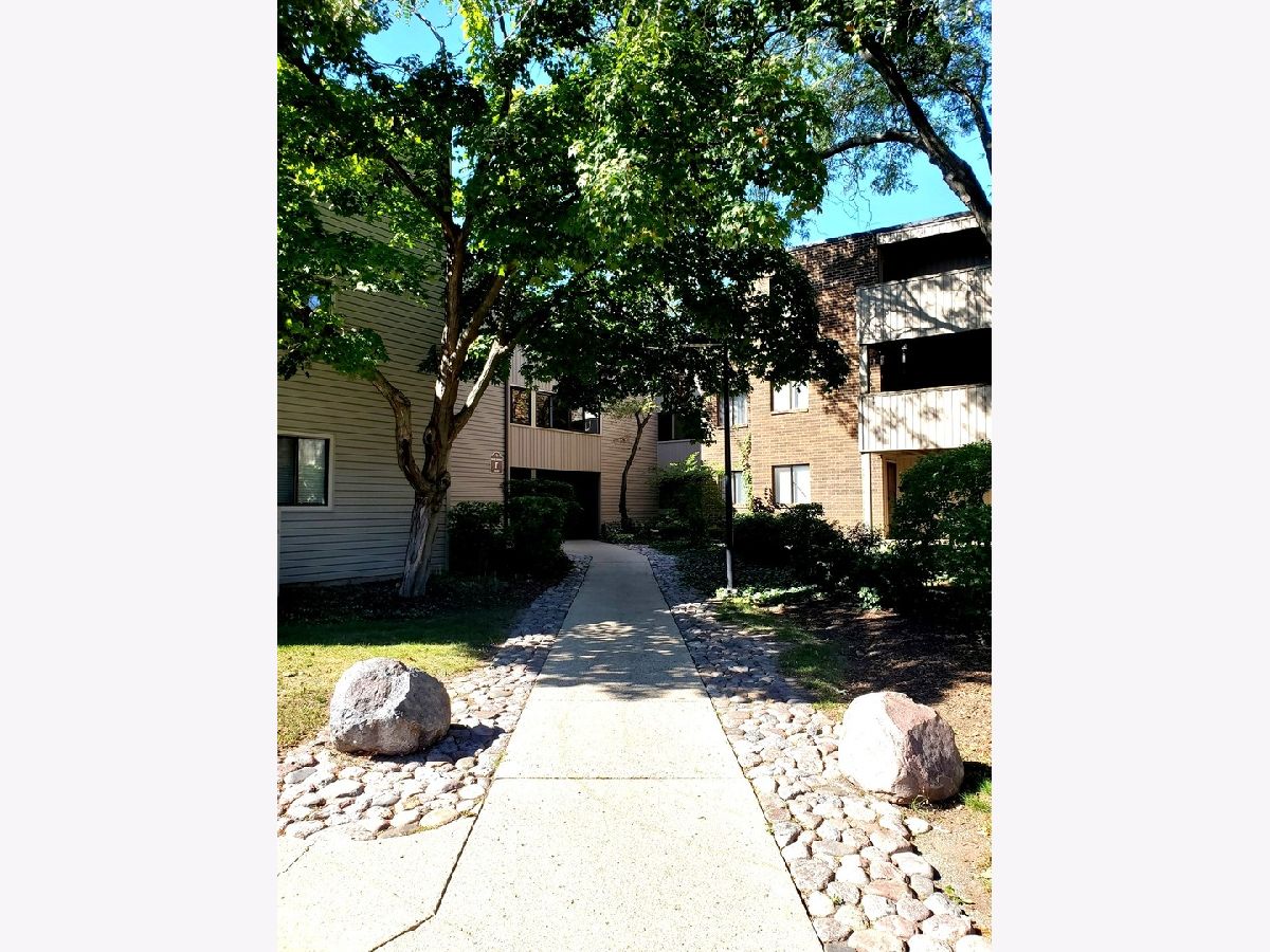 Condominiums & Homes Sold Sandy Creek Elgin Illinois, 1850 Highland